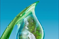 зображення_viber_2024-03-22_10-47-01-087