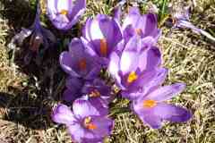 zobrazhennia_viber_2026-05-05_16-07-35-558