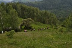 изображение_viber_2019-06-11_10-33-03